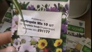 Цветанутый проект:озеленение балкона с 0 за 3 месяца!Добрались руки и сюда!Однолетки в студию.1 эта