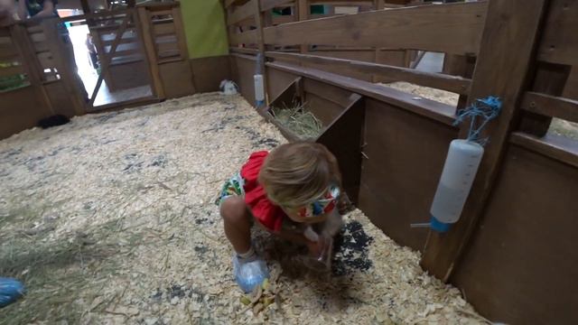 Арина и страна Енотия смотреть онлайн