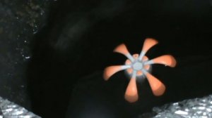 Зимняя рыбалка в палатке на плотву. Ночуем на льду в палатке, а на улице ночью -30