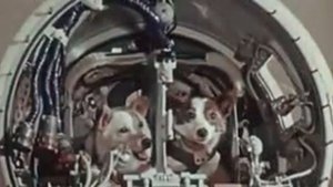 4_6 ПЕРВЫЙ РЕЙС К ЗВЁЗДАМ (FIRST FLIGHT TO THE STARS).mp4