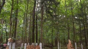 Евролос ПРО 6+ отзыв после года использования