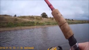 Ловлю судака на поролон .