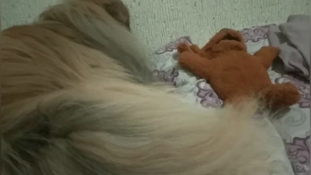 НОЧНЫЕ ПОСИДЕЛКИ С КОДИ И ВАЖНАЯ ИНФОРМАЦИЯ смотреть онлайн