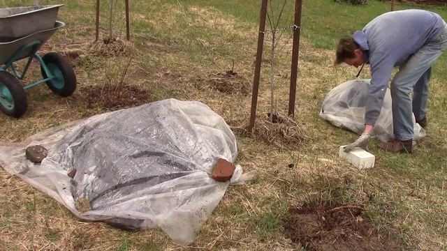 ПТИЧКИ-КРАСОТКИ НОВАЯ ЖИВОПИСЬ ПОЯВИЛАСЬ КАЧЕЛЬ У ХУДОЖНИКА В ДЕРЕВНЕ
