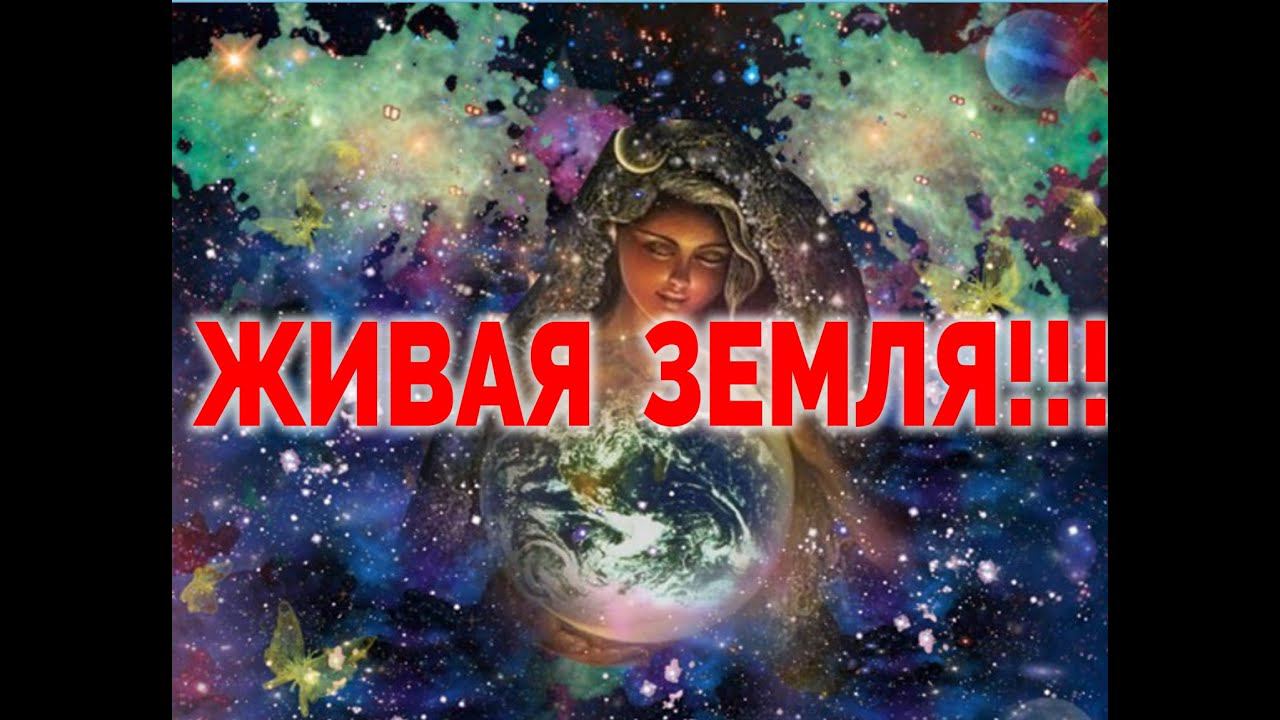 Земля Живой Организм / Виктор Максименков