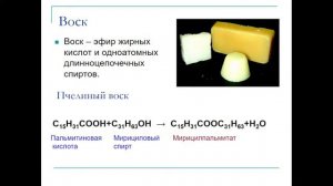 8:00 Биоорганическая химия