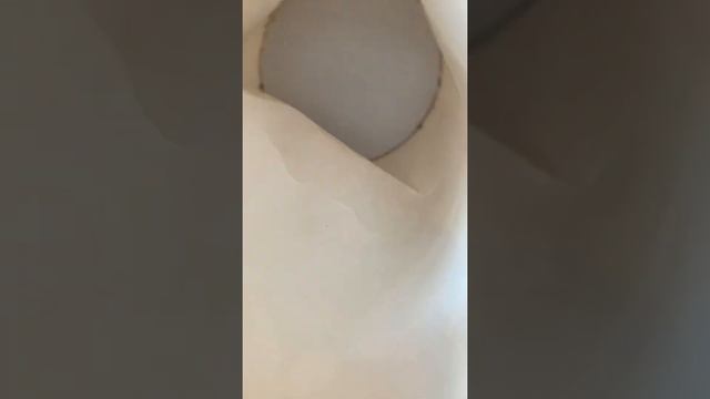 🐬🐬Игры Дельфинов Хмудрого и Гудвина смотреть онлайн