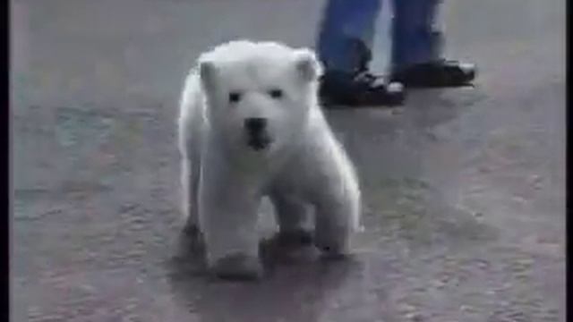 Спят усталые мишутки 