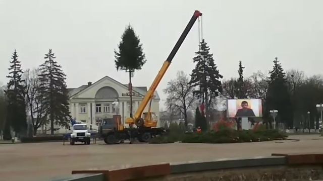 Волк на площади, Волковыск. смотреть онлайн