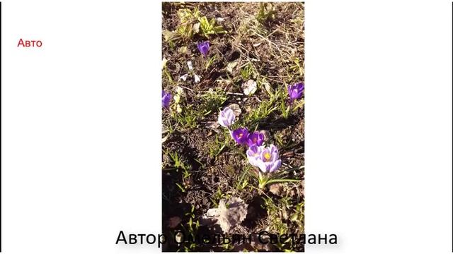 Школа машинного вязания Н. Некрасовой