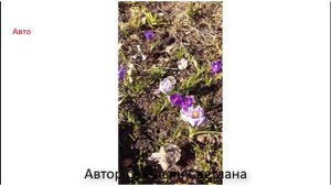 Школа машинного вязания Н. Некрасовой