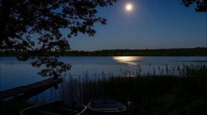Лечебный Сон Ночь в Деревне Сверчки Пруд Звезды Тишина 5 минут для засыпания