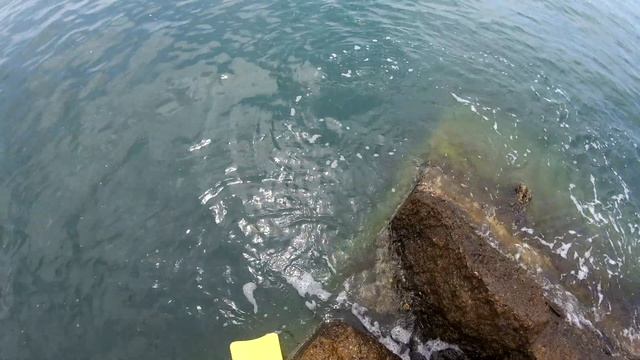 Верши на хлеб. Черное море. Абхазия. Ловля рыбы и крабов на Черном море.