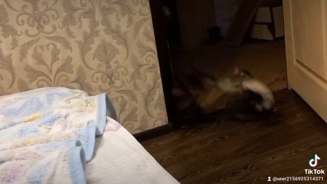 не спать