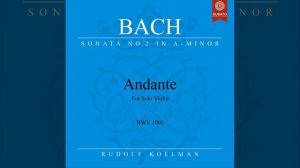 Violin Sonata No. 2 in A Minor, BWV 1003: III. Andante