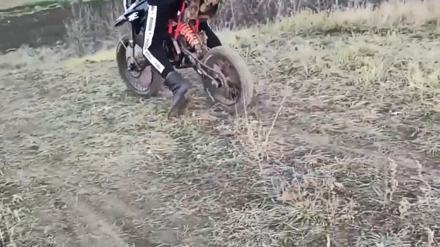 что творит ПИТБАЙК ТТР125 смотреть онлайн