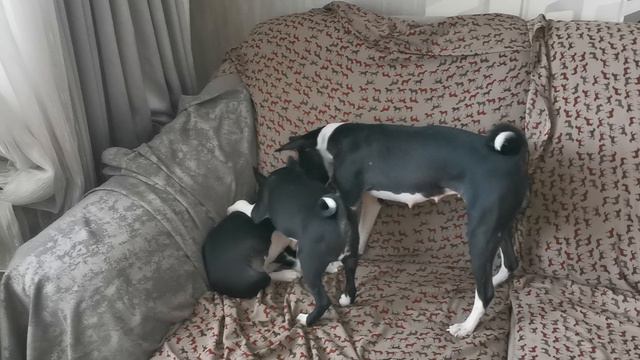 VID_20240310_095745.mp4 смотреть онлайн