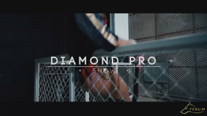 [OneShot] Diamond Pro Show - SuperHeroes