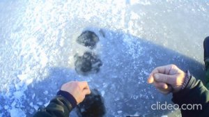 Карп по первому льду. 2021г. День 2. Хорошее начало...