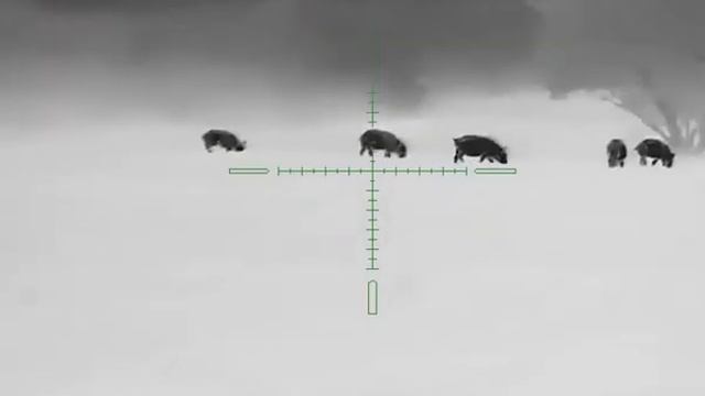 AGM Global Vision Rattler TS50 640 смотреть онлайн