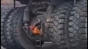 Рождение белазиста