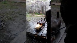 обработка свиньи кёрхером