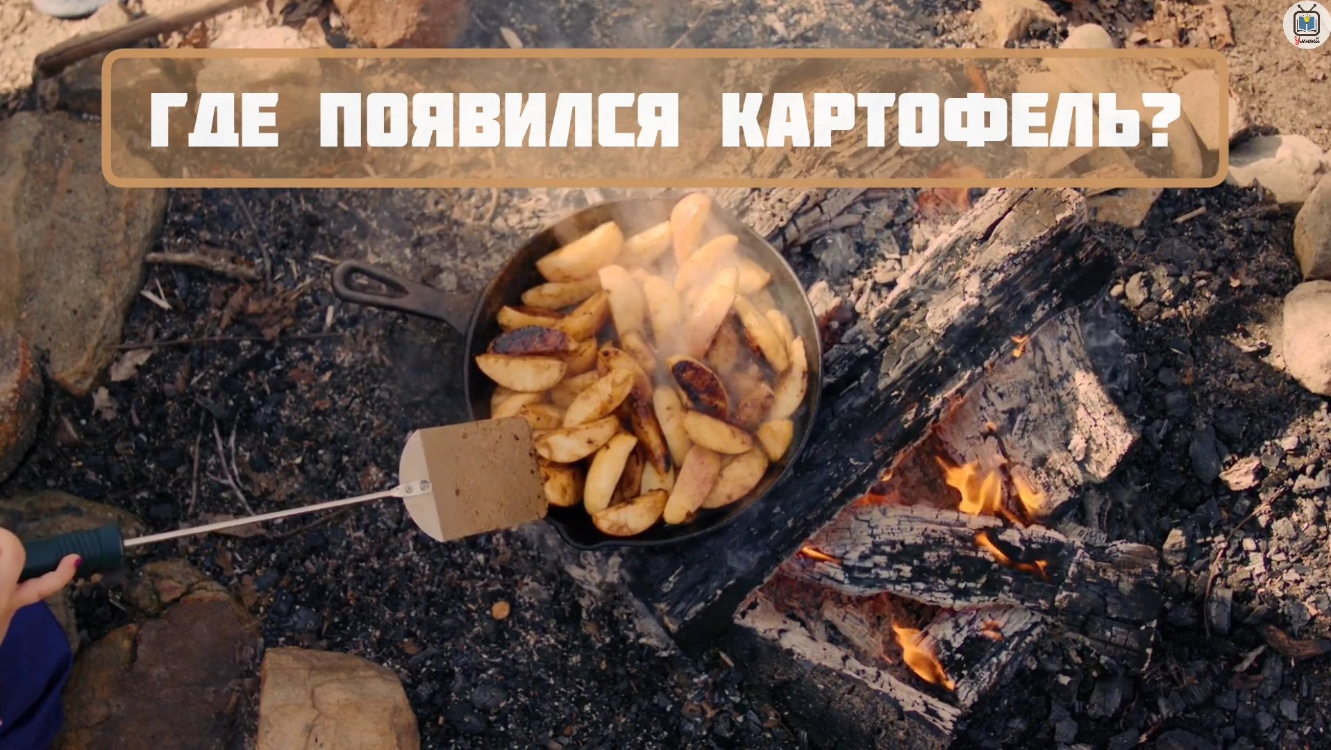 Где впервые появился картофель? История происхождения картошки