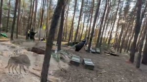 Леса под Кременной..mp4
