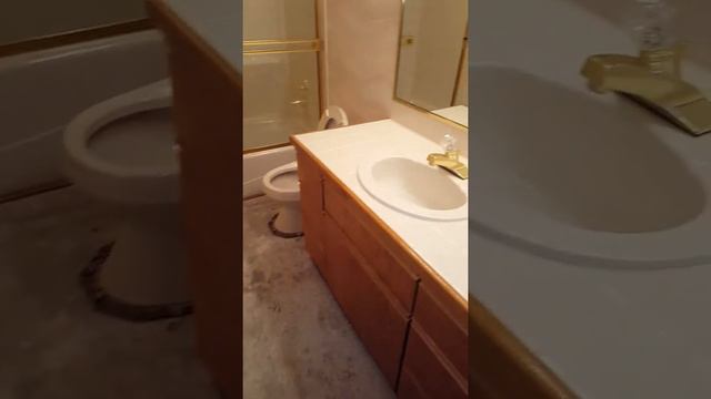 Falcon hills basement 2 смотреть онлайн