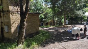 Ангрен. Янгиабад.18 июня 2022