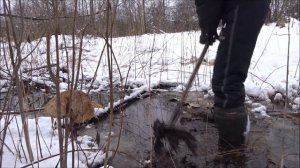 Моя  жизнь в  ДЕРЕВНЕ  РЕГИОН  60   ПОХОД  ЗА  ЗЕЛЕНЬЮ