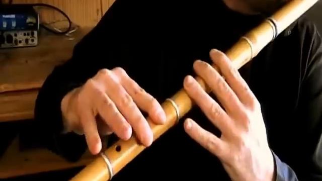 The Stolen Reel - Irish Flute Tutorial - Tradschool смотреть онлайн
