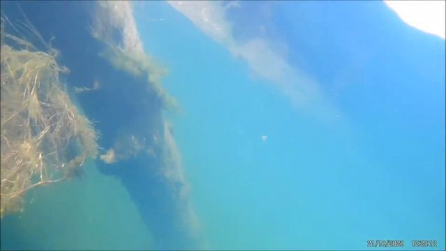 Две щуки смотреть онлайн