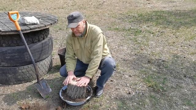 Грибы вешенка на балконе и в квартире. Грибной бизнес.