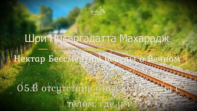 Нектар Бессмертия. Беседы о Вечном. Шри Нисаргадатта Махарадж. Аудиокнига. Nikosho