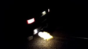 Язык дракона . Лютый выхлоп Skoda