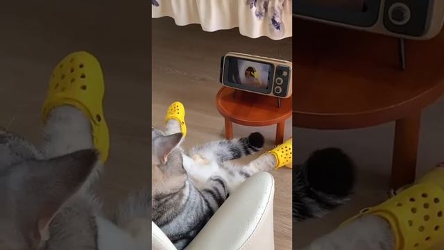 План на выходные