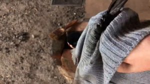 Воронение металла в домашних условиях