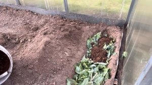 НАША ТЕПЛИЦА ЛУЧШАЯ?❕❕❕