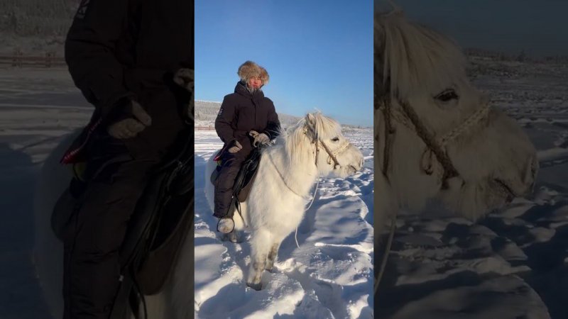 Дугуйдан Винокуров в одежде BASK.