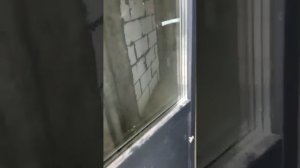 Москва, поселение Сосенское, проспект Куприна, 38к2