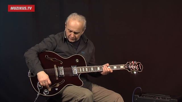 Epiphone Emperor Swingster смотреть онлайн