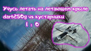 ZOHD Dart 250G.  Первые полеты на летающем крыле. Влетел в кустарники