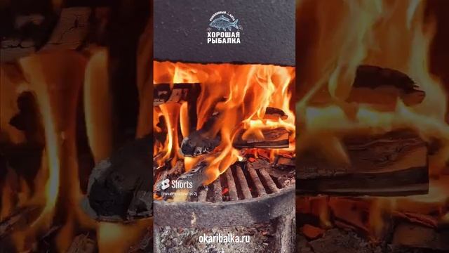 Карп во фритюре на природе, старый дедовский рецепт смотреть онлайн