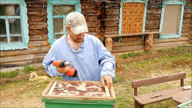 КАК ПОЙМАТЬ РОЙ ПЧЁЛ ? Ловушка , место , установка . | НАЕДИНЕ С ПРИРОДОЙ