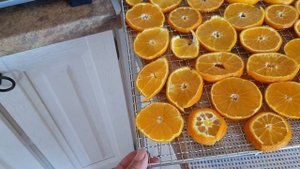 Насушили крутые чипсы из фруктов. Сушилка для овощей и фруктов Kitfort KT-1910  Professional Series