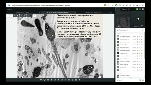ЭМИС при генетическом бесплодии мужчин