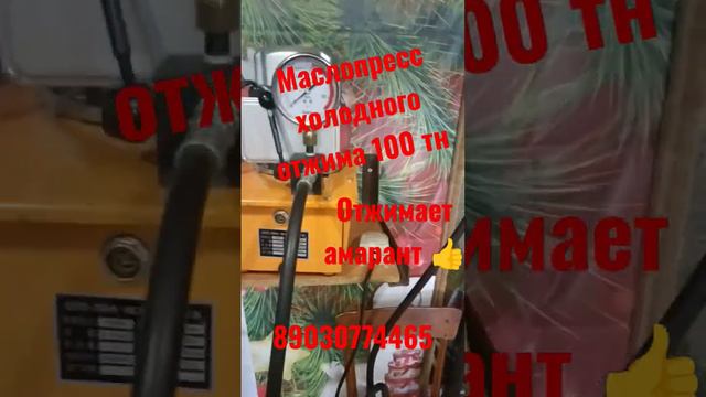 Маслопресс холодного отжима масла 100тн #маслопоесс100тн #маслопресс100 #отжимамаранта #амарант