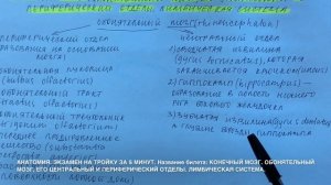 Билет 023. КОНЕЧНЫЙ МОЗГ. ОБОНЯТЕЛЬНЫЙ МОЗГ. ЛИМБИЧЕСКАЯ СИСТЕМА.