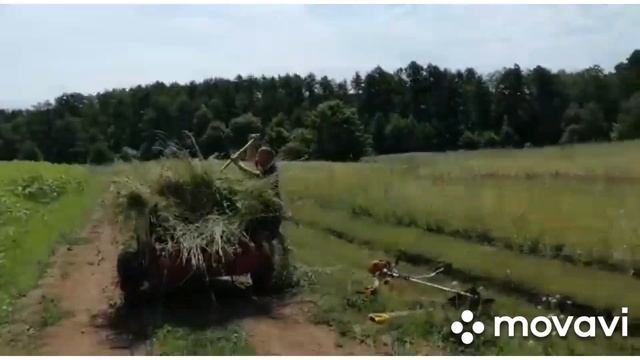 ВЕТЕР В ХАРЮ, А Я ШПАРЮ смотреть онлайн